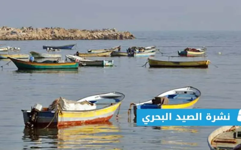 تحذيرات من رياح تصل إلى 40 عقدة وارتفاع الموج لأربعة أمتار بالبحر